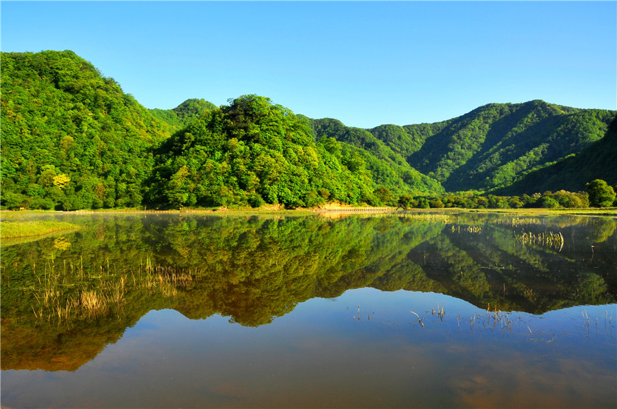 神农架林区大九湖景区