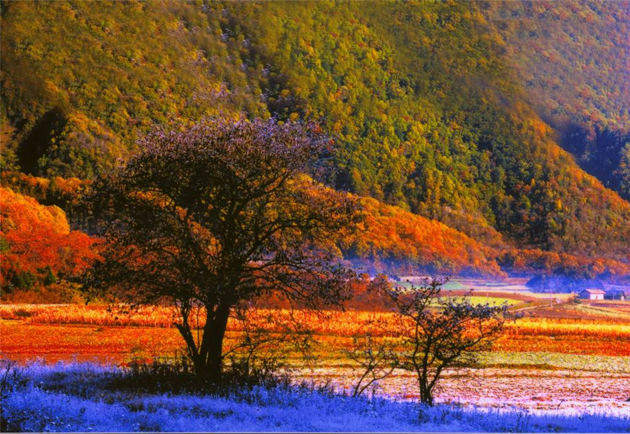 神农架林区大九湖景区