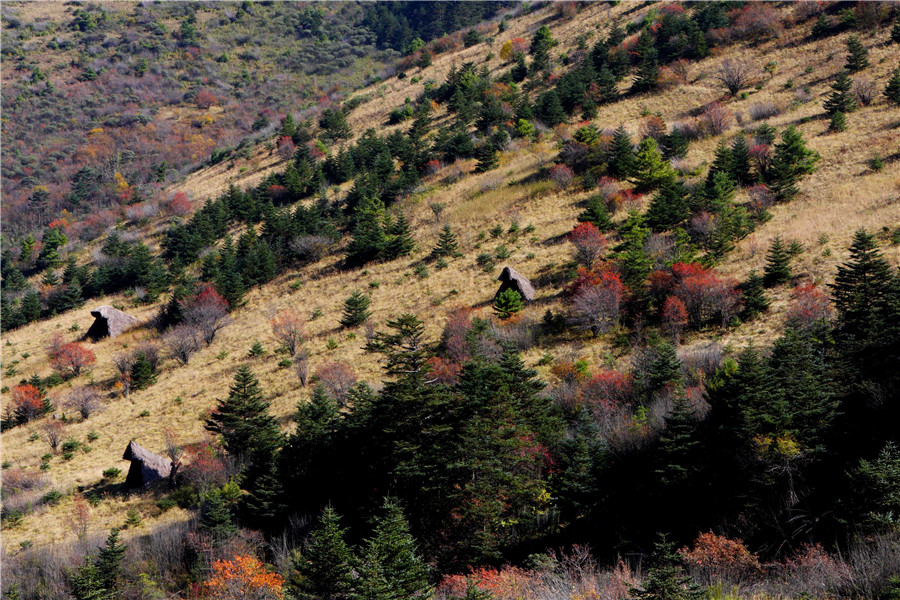 神农架林区神农顶景区