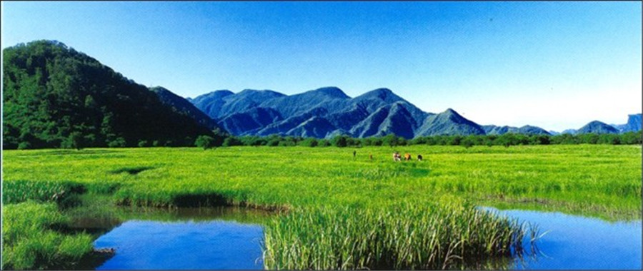 神农架林区大九湖景区