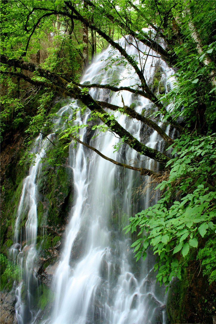 神农架林区神农顶景区