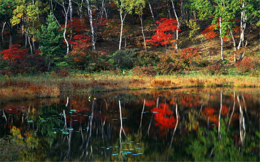 神农架林区大九湖景区
