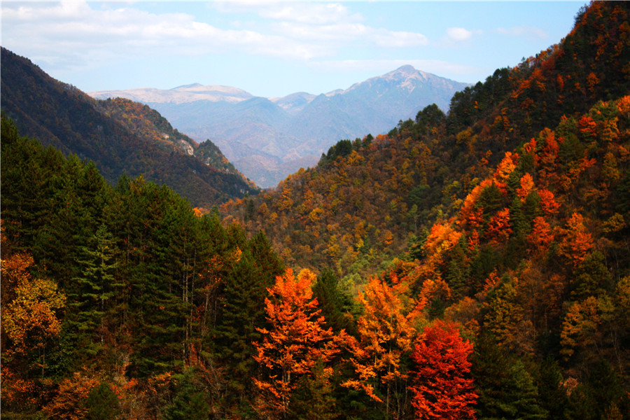 神农架林区官门山景区