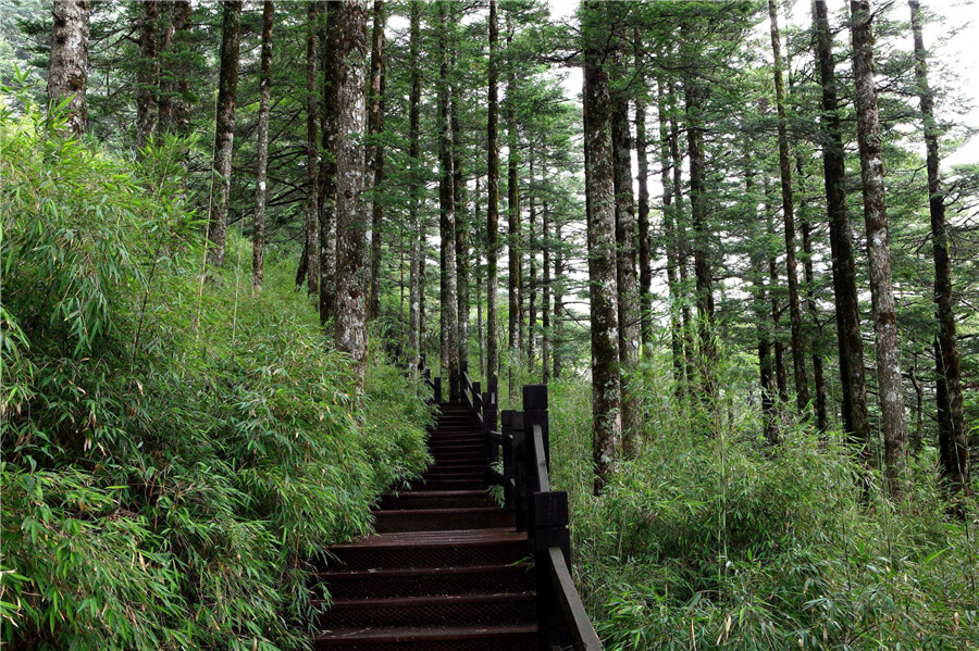 神农架林区神农顶景区